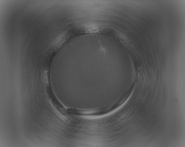 X0000056330598200509021631