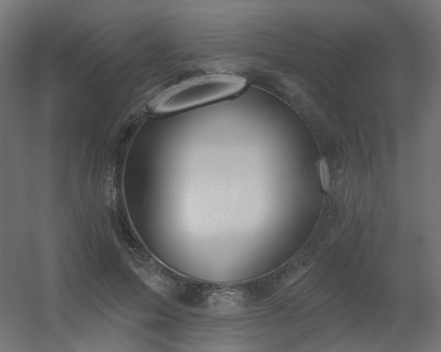 X0000056330599200509021631