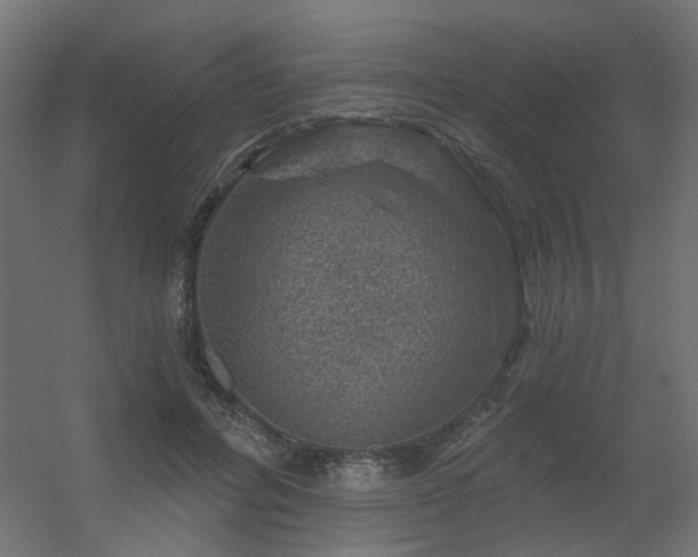 X0000056330600200509021631