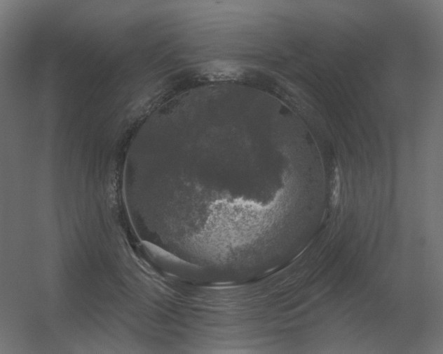 X0000056330604200509021631