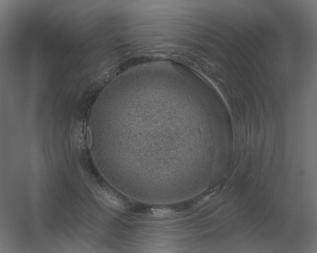 X0000056330605200509021631