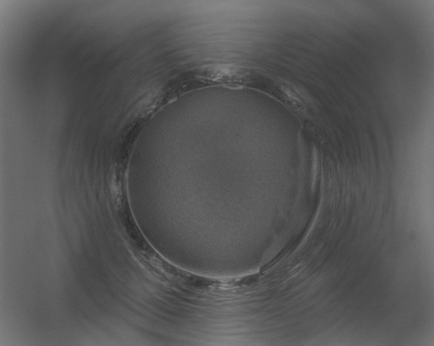 X0000056330607200509021631