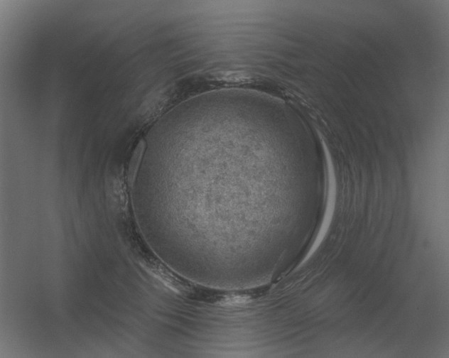 X0000056330609200509021631