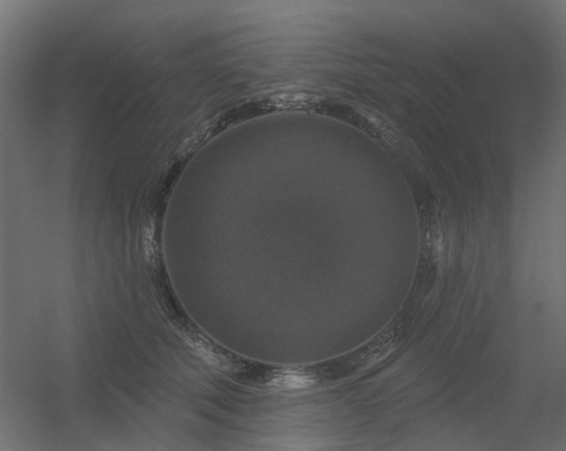 X0000056330610200509021631