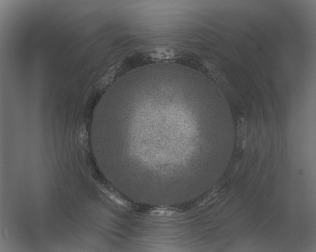 X0000056330614200509021631