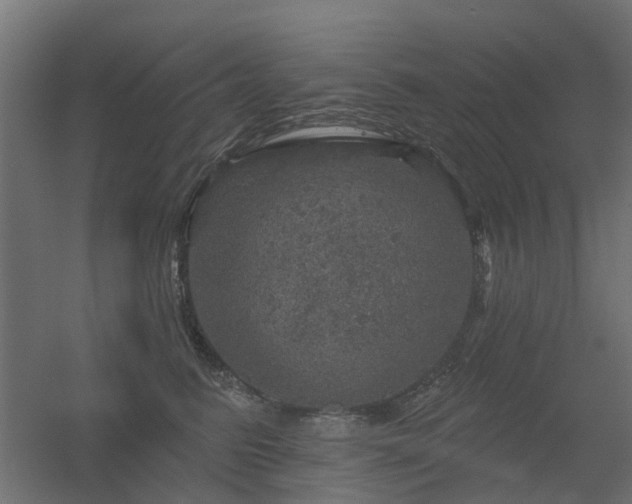 X0000056330615200509021631