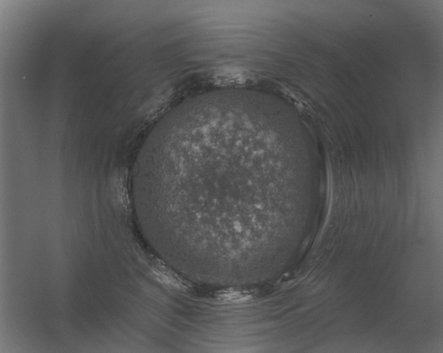 X0000056330616200509021631