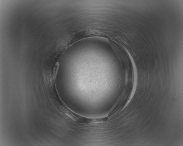 X0000056330617200509021631