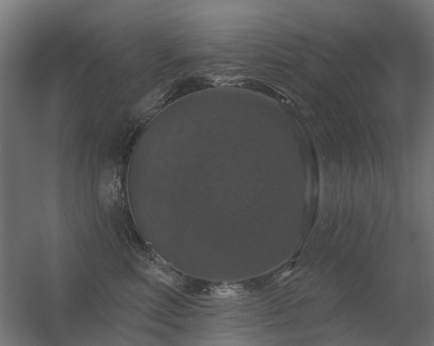 X0000056330618200509021631