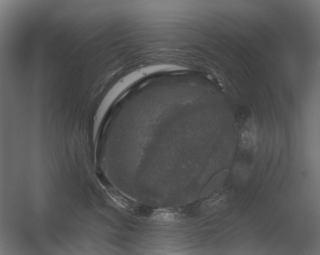 X0000056330620200509021631