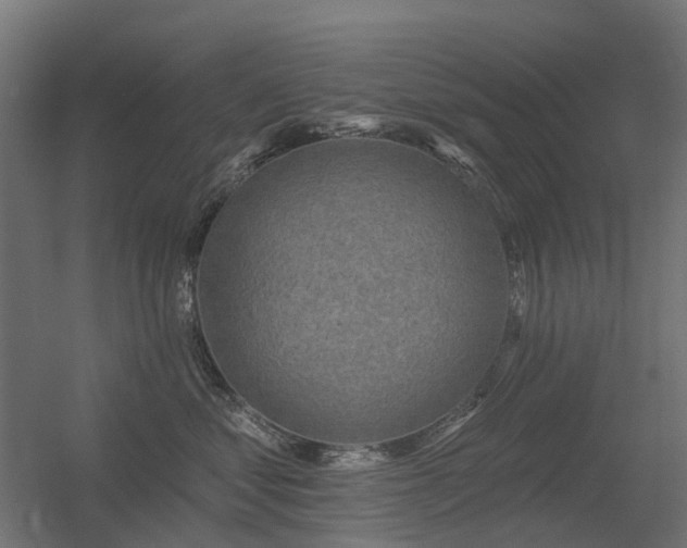 X0000056330621200509021631