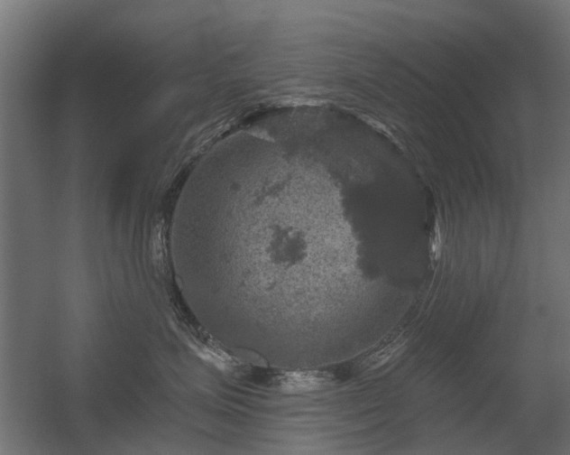 X0000056330623200509021631