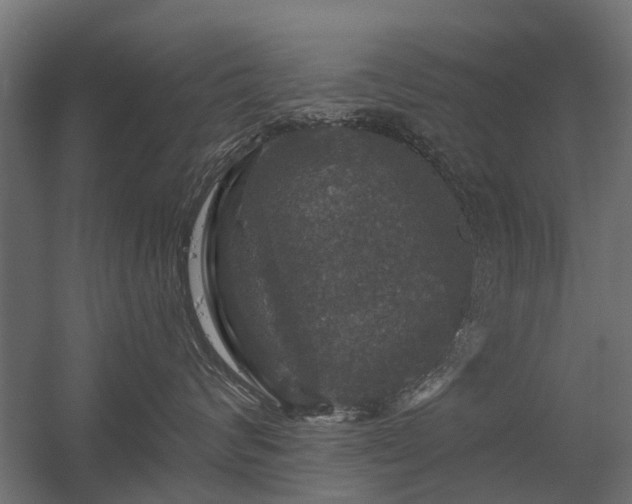 X0000056330624200509021631