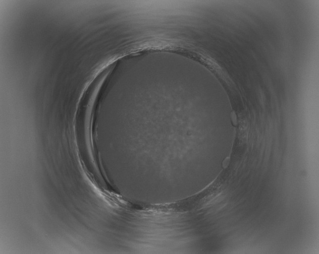 X0000056330626200509021630