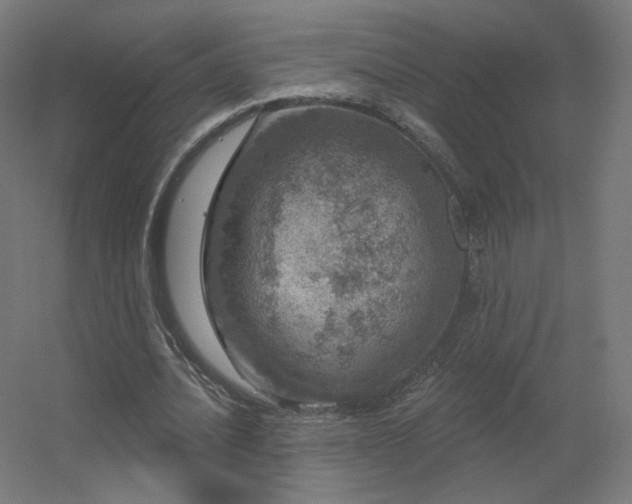 X0000056330628200509021630