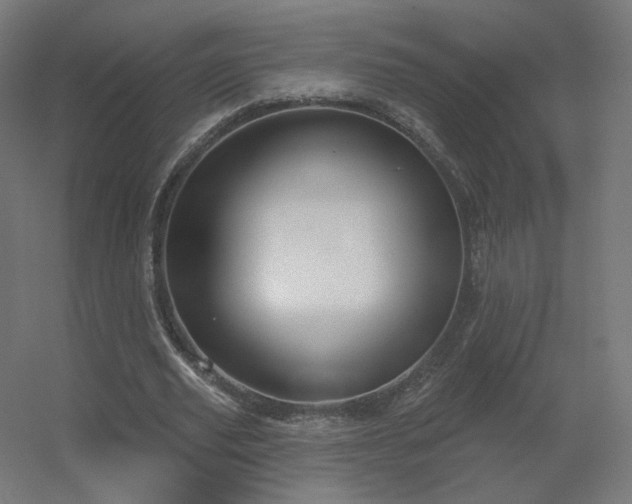 X0000056330629200509021630