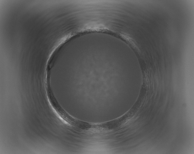 X0000056330630200509021630