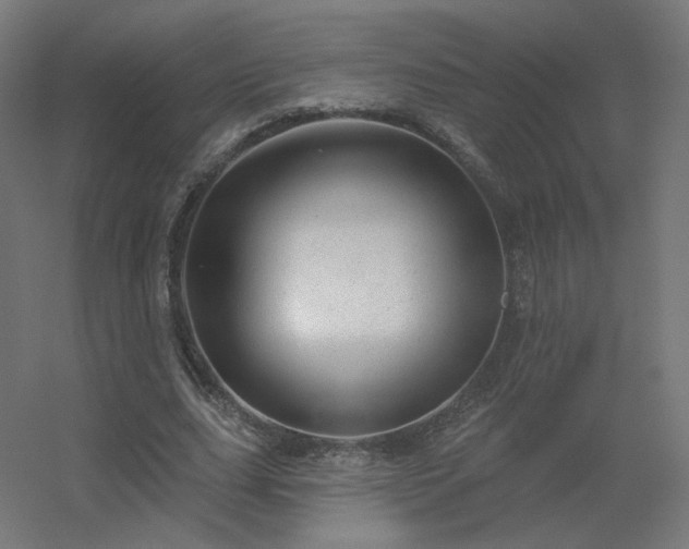 X0000056330631200509021630