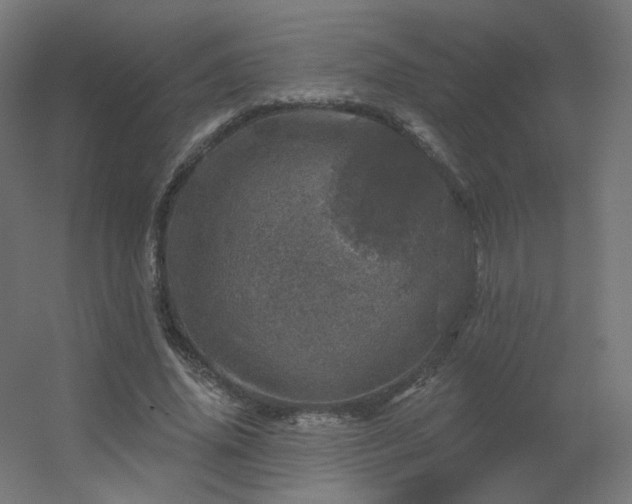 X0000056330636200509021630