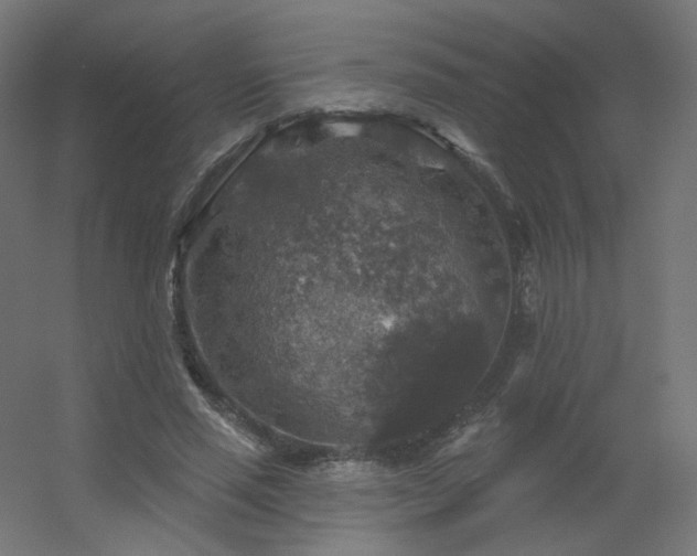 X0000056330637200509021630