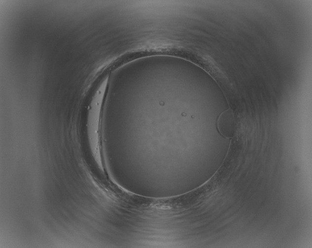 X0000056330640200509021630