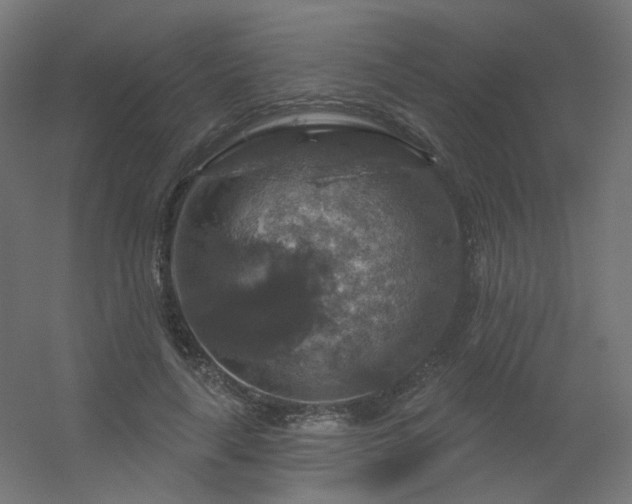 X0000056330643200509021630