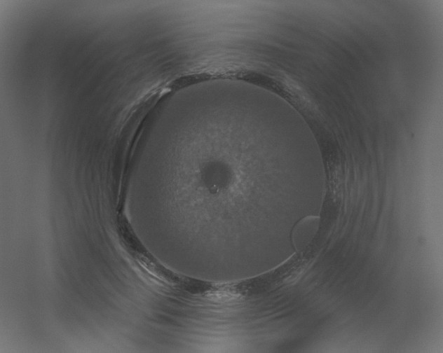 X0000056330644200509021630