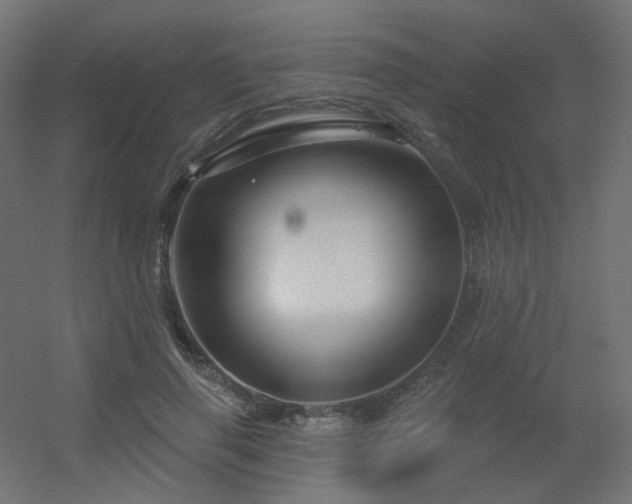 X0000056330645200509021630