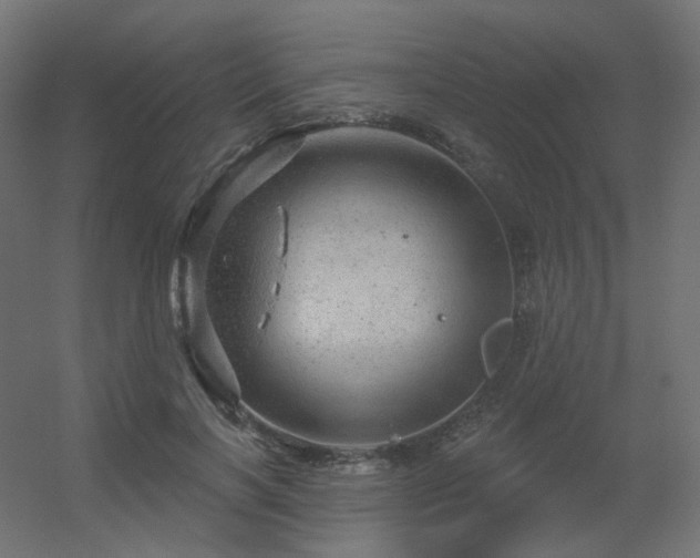 X0000056330646200509021630