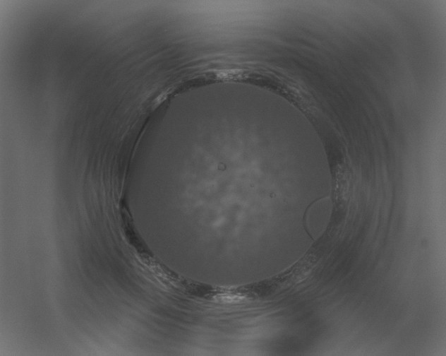 X0000056330650200509021630