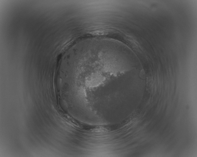 X0000056330652200509021630