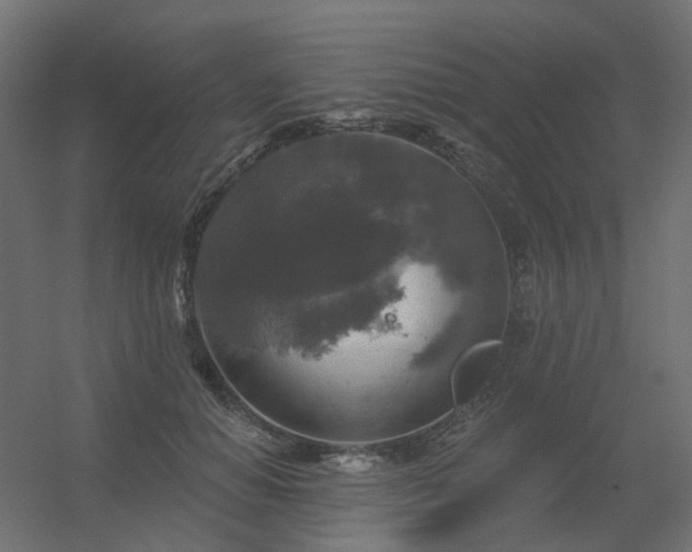 X0000056330654200509021630