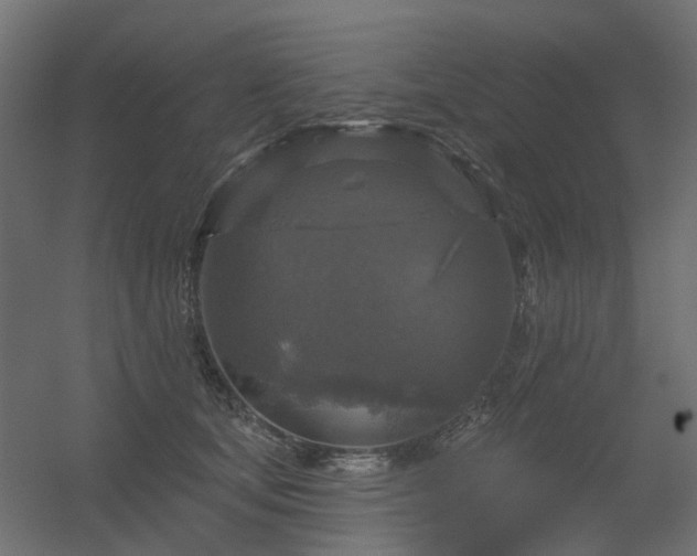 X0000056330659200509021631