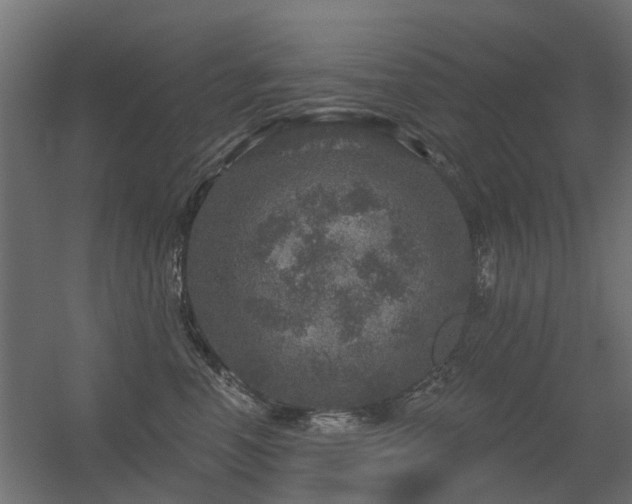 X0000056330666200509021631