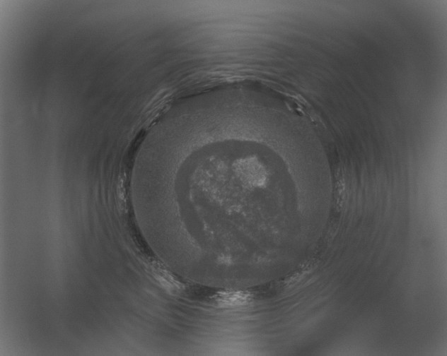 X0000056330667200509021631