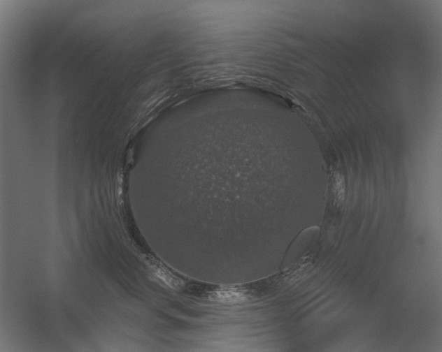 X0000056330668200509021631