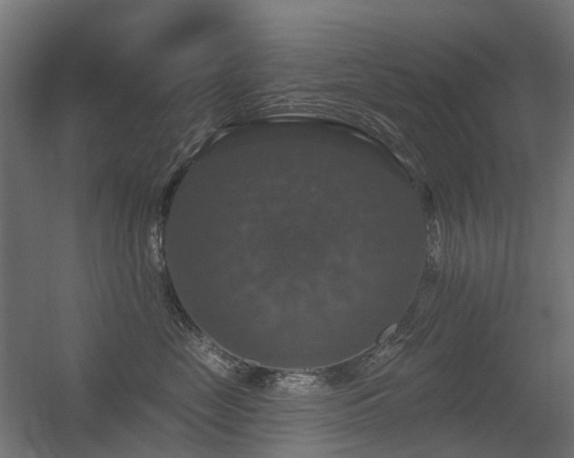 X0000056330669200509021631