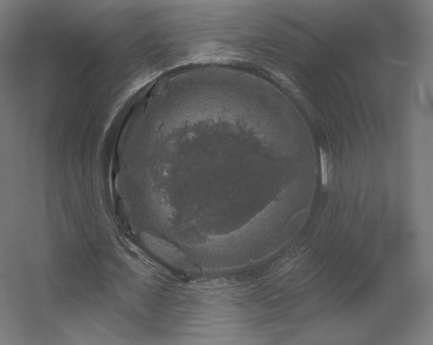 X0000056330675200509021630