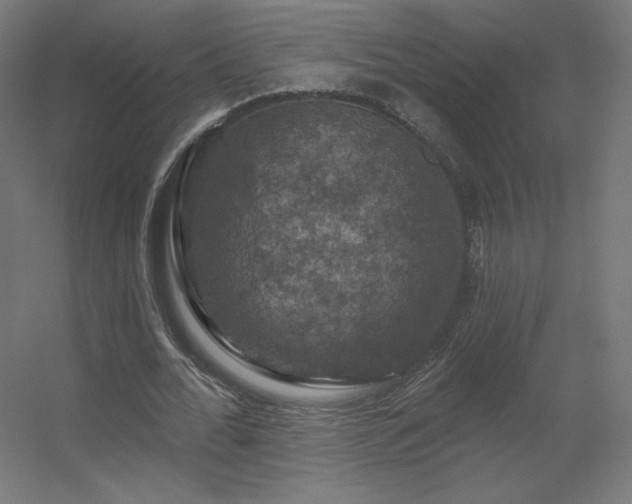 X0000056330676200509021630