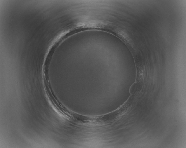 X0000056330678200509021630