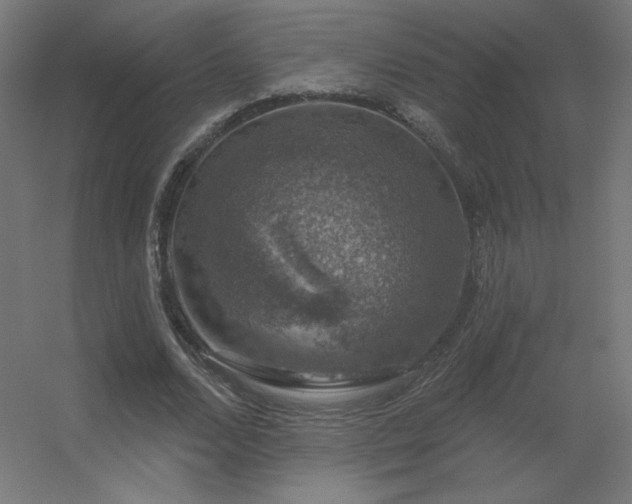 X0000056330680200509021630