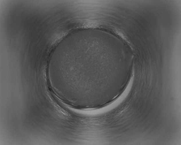 X0000056330681200509021630