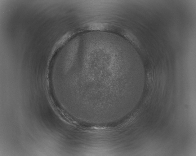 X0000056330682200509021630