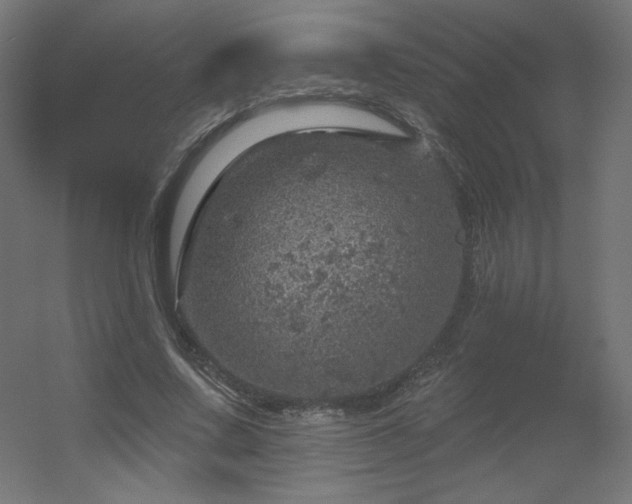 X0000056330683200509021630