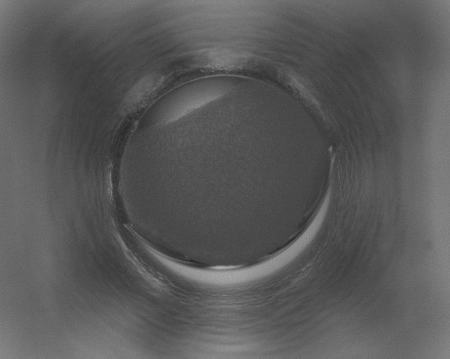 X0000056330685200509021630