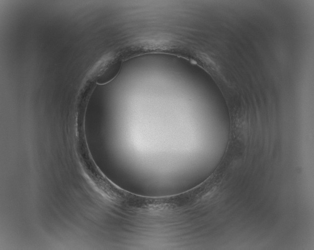 X0000056330686200509021630