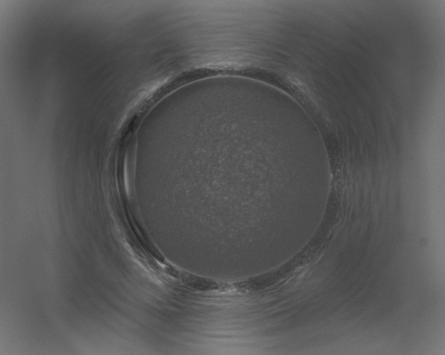 X0000056330688200509021630