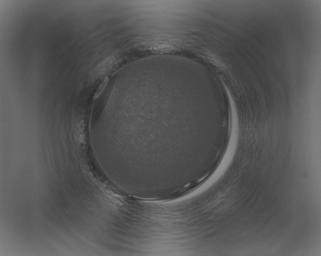 X0000056330689200509021630