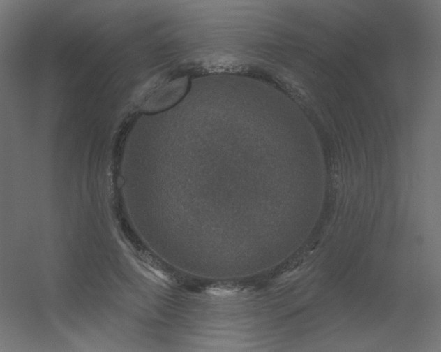 X0000056330690200509021630