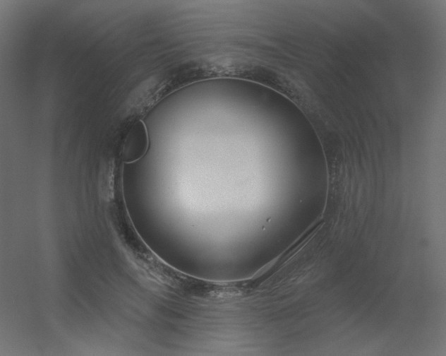 X0000056330694200509021630